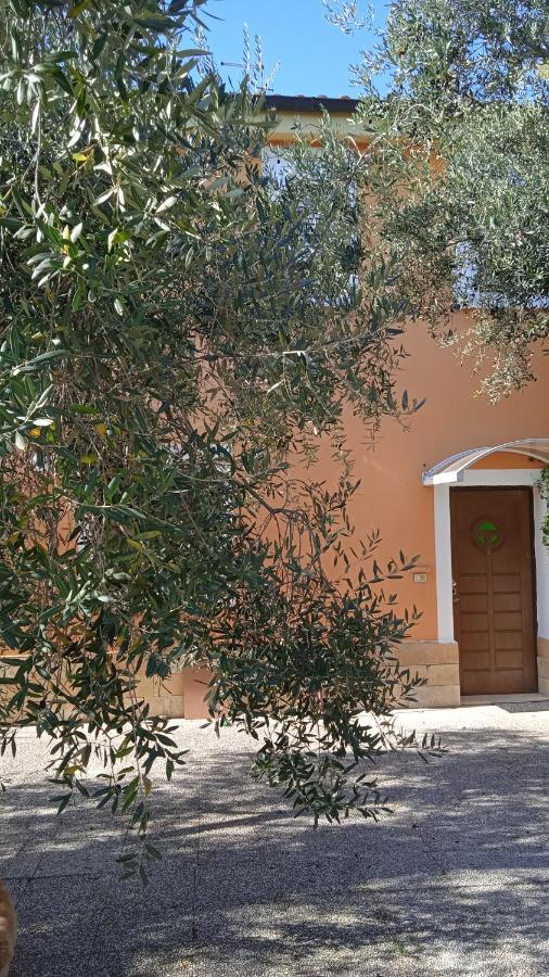 Casa Lunaria Moscufo Ngoại thất bức ảnh