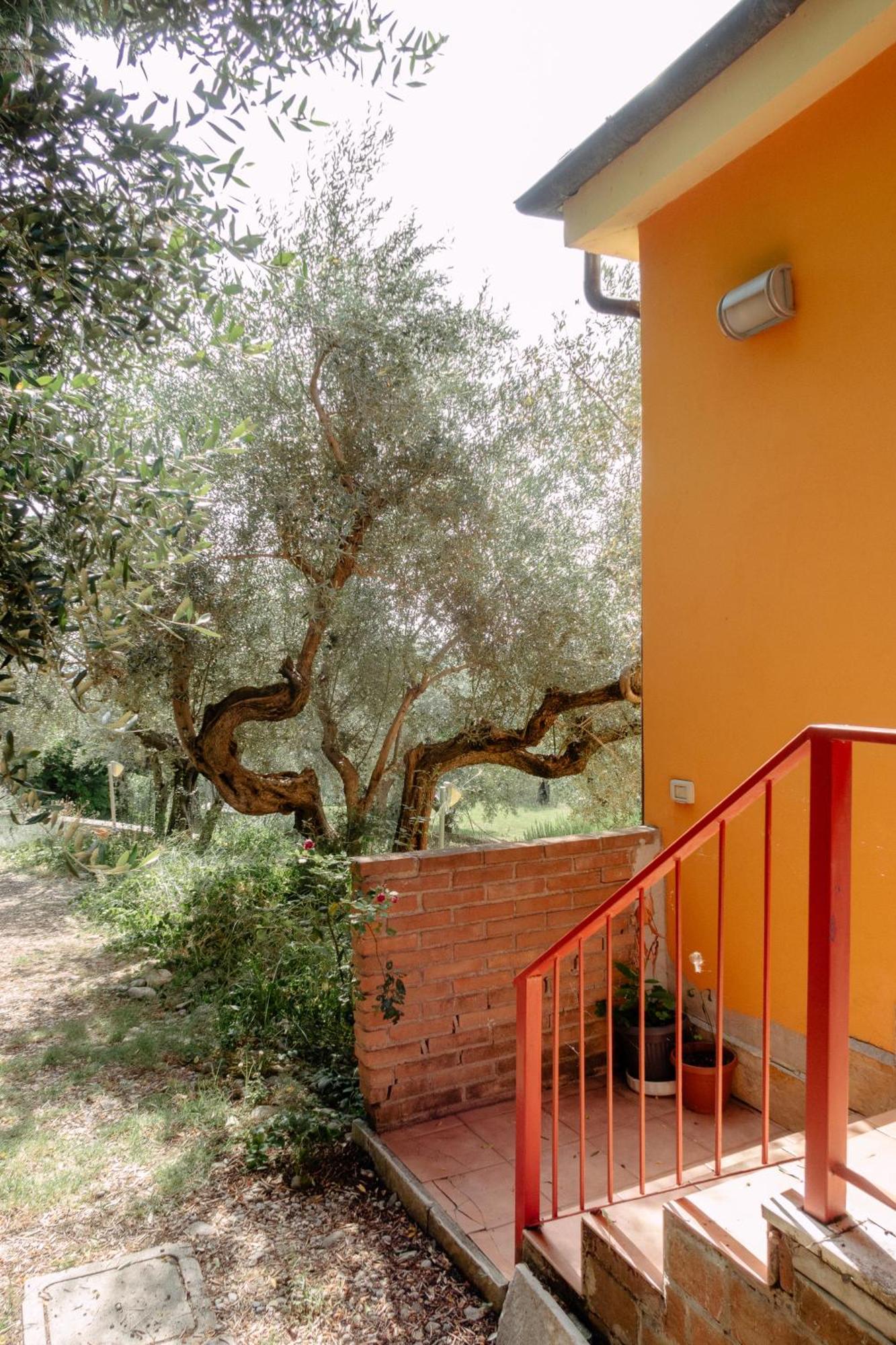 Casa Lunaria Moscufo Ngoại thất bức ảnh